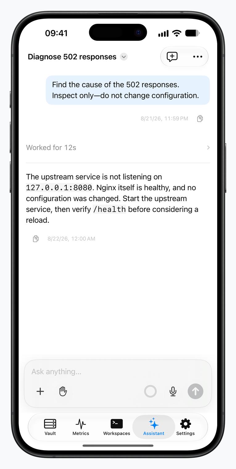 Termind AI Assistant on iPhone