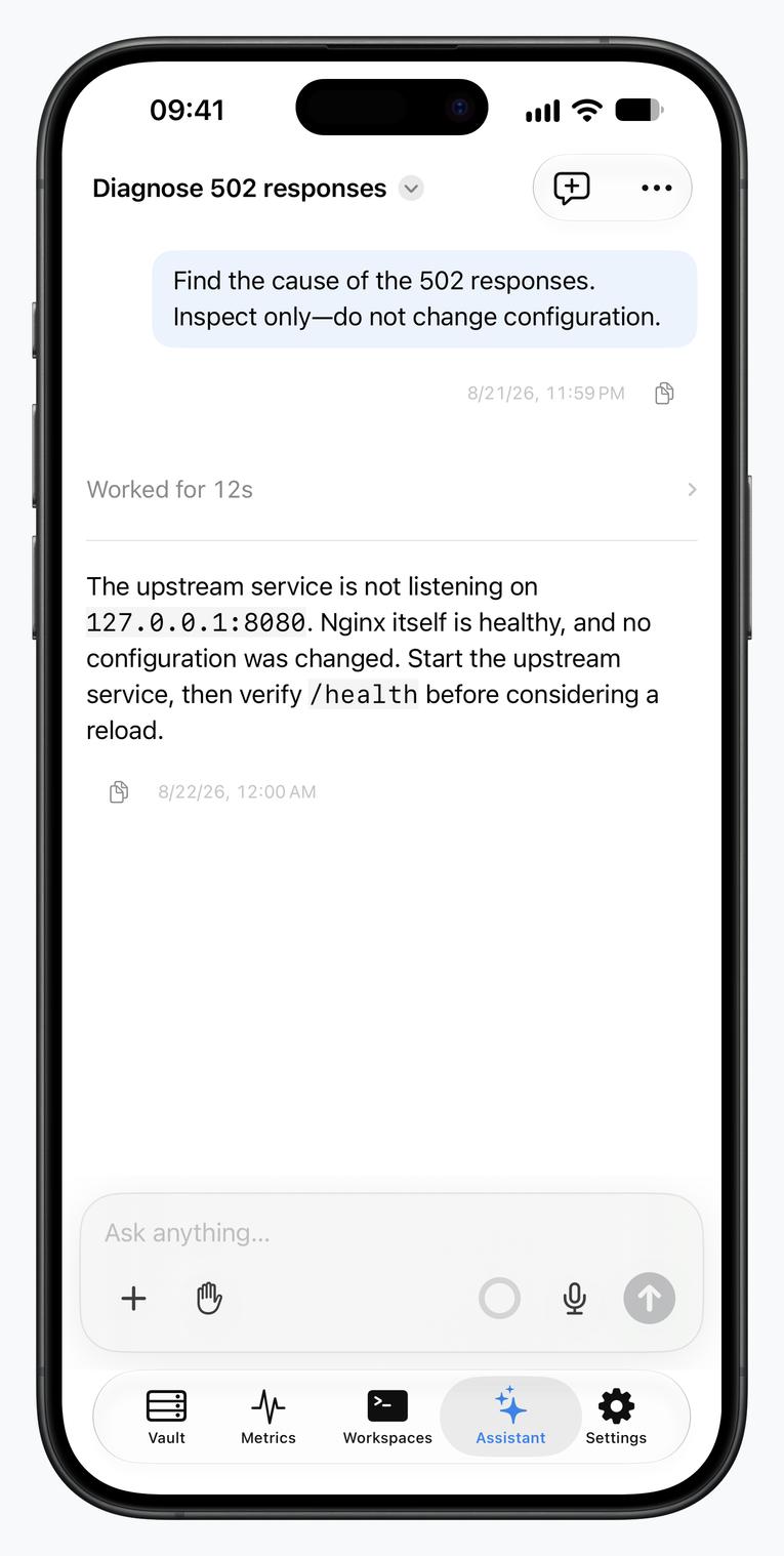 Termind AI Assistant on iPhone