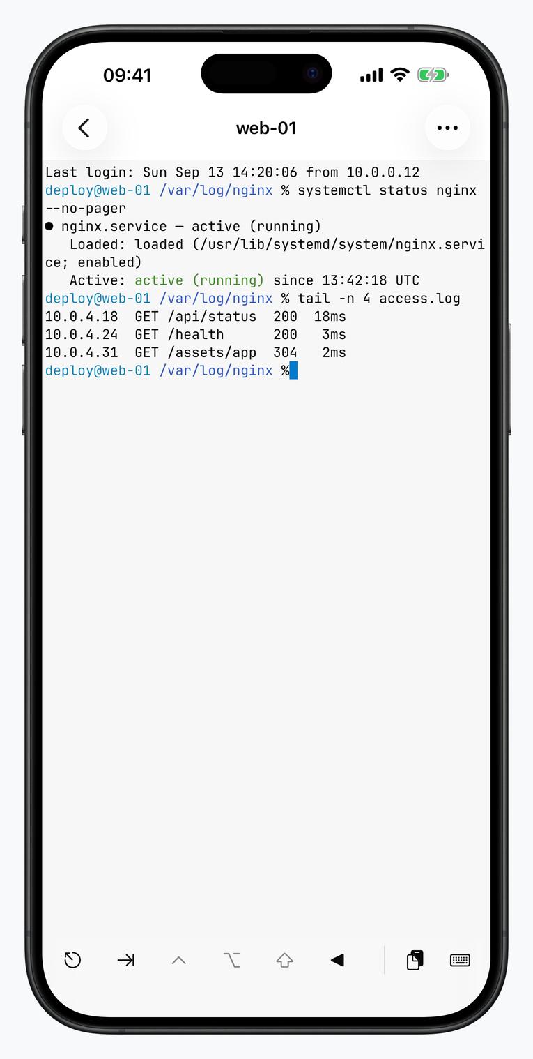 iPhone 上的 Termind SSH 终端