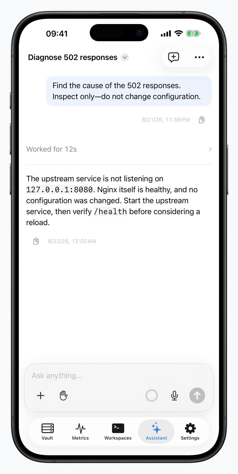 Termind AI Assistant on iPhone