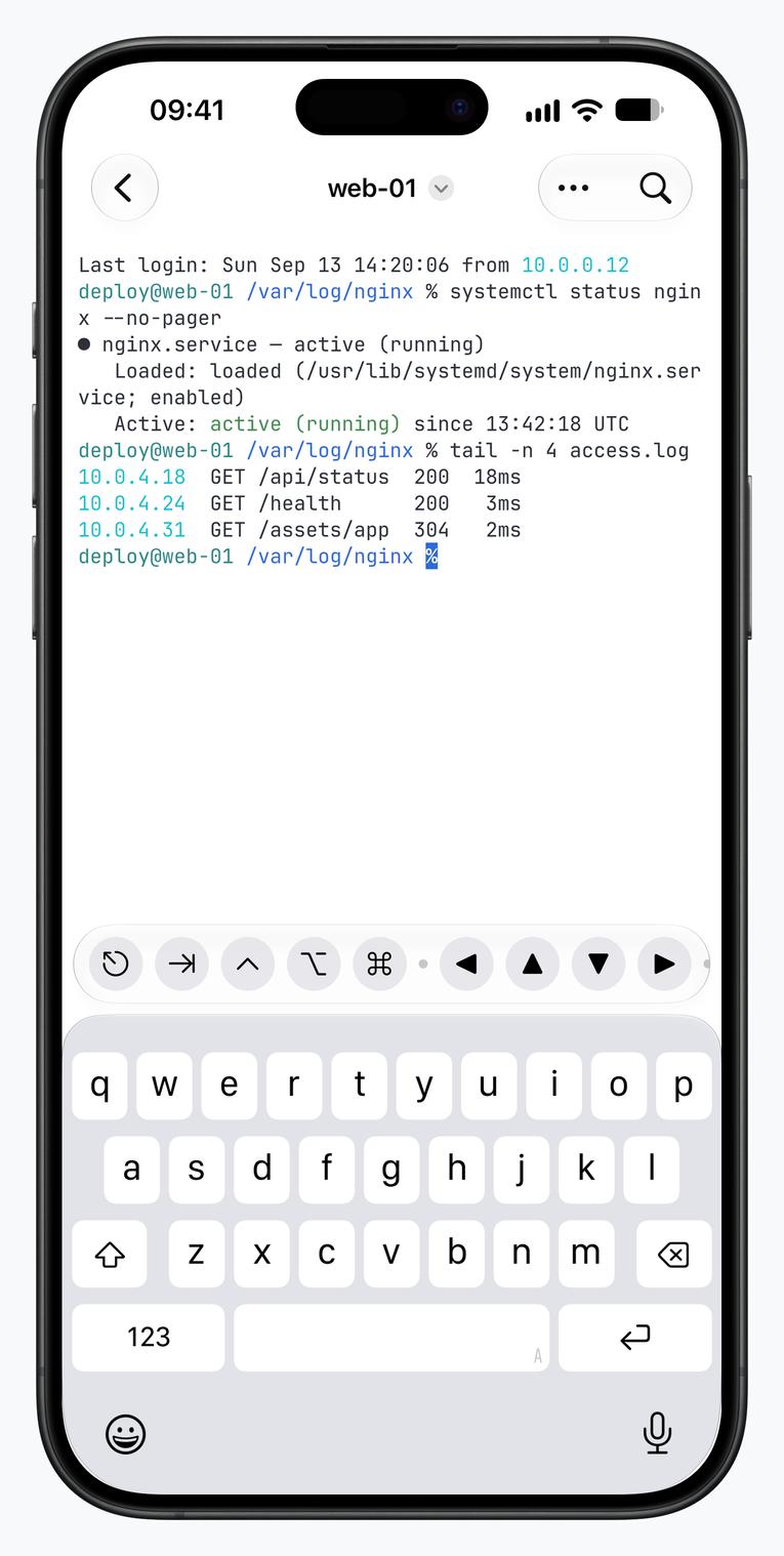 SSH terminal with production service output on iPhone