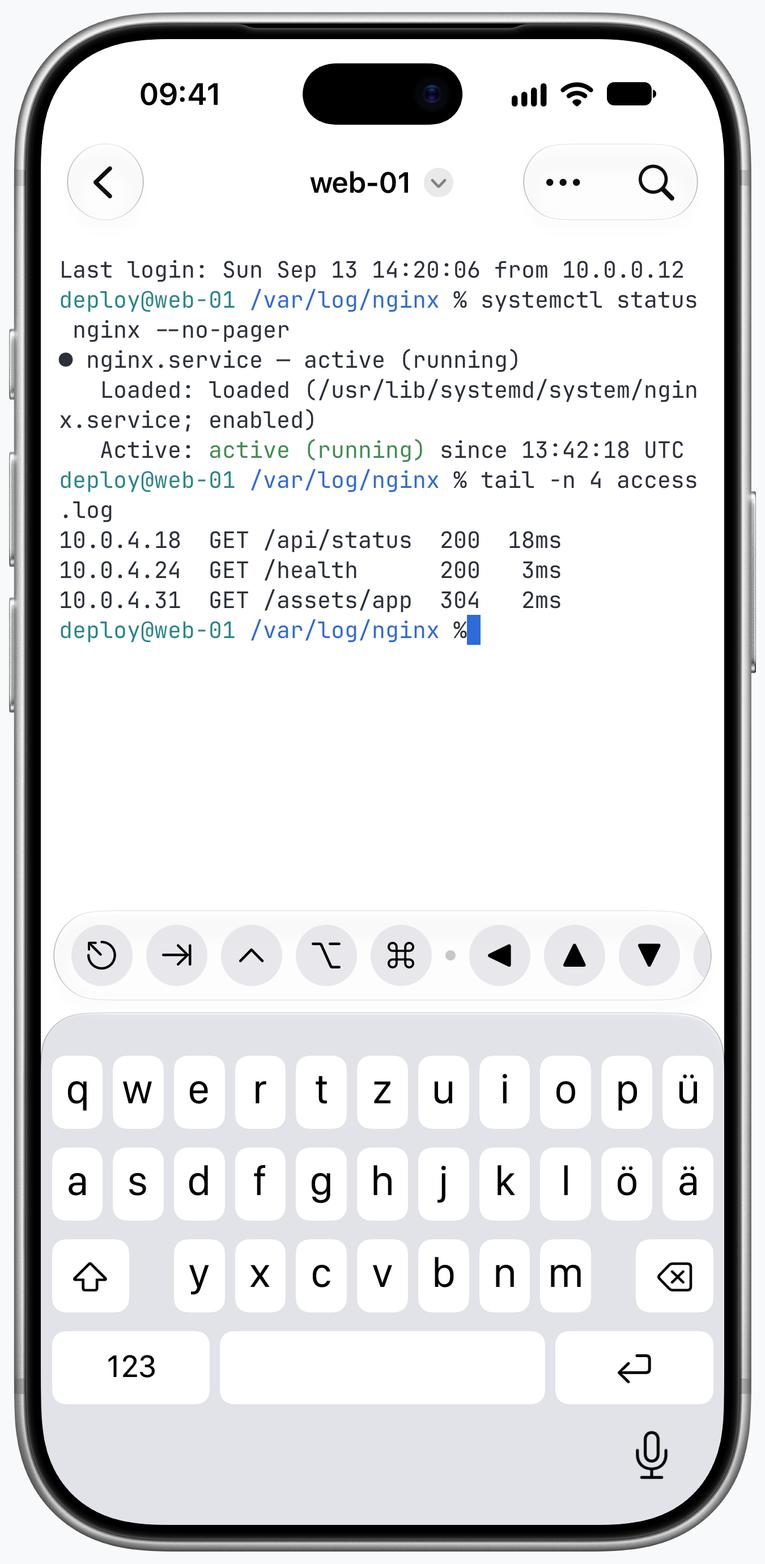 Termind-SSH-Terminal auf dem iPhone