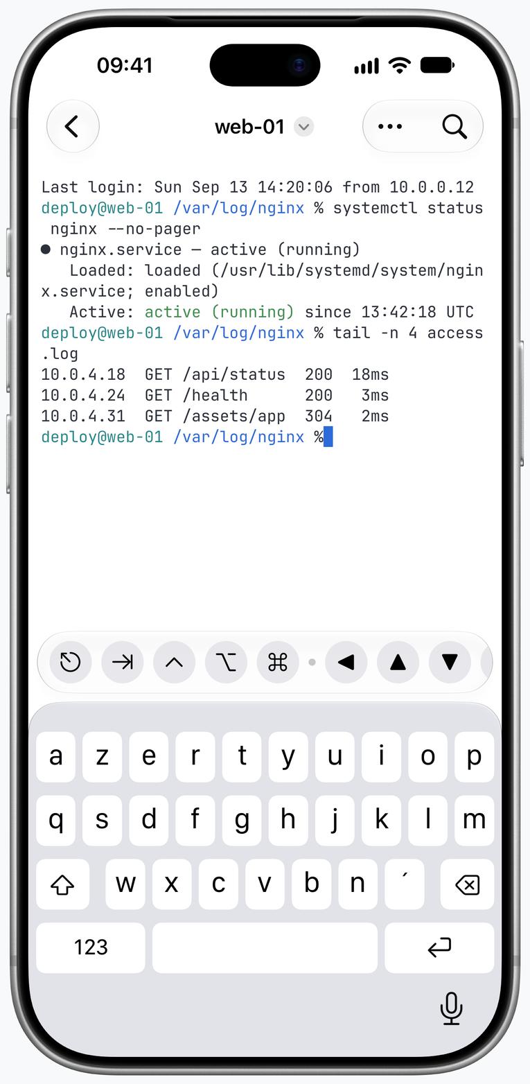 Terminal SSH Termind sur iPhone